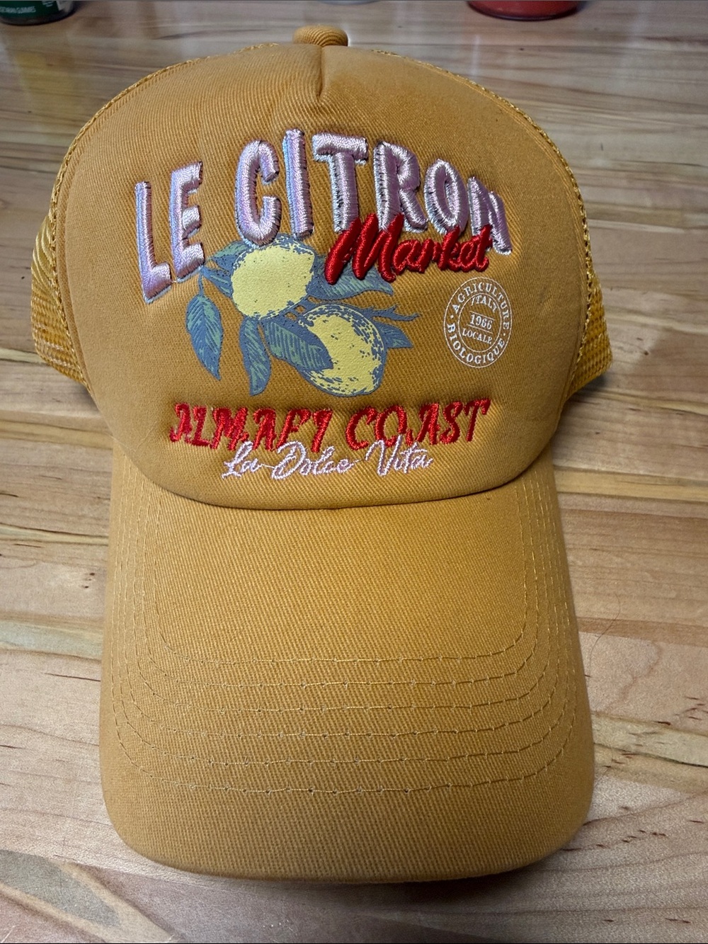 Anthropologie Worn West Trucker Hat- Sold Out!!
